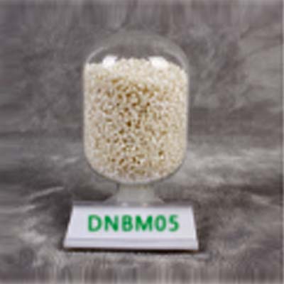 DNBM05